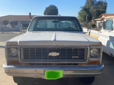 1973 Chevrolet C20 for sale