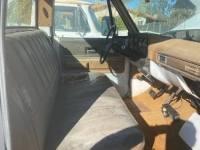1973 Chevrolet C20 for sale in Michigan (ID-123583)