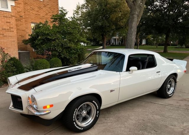 1973 Chevrolet Camaro for sale in Michigan (ID-107135) 1973 Chevrolet Camaro for sale in Michigan (ID-107135)