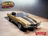 1973 Chevrolet Camaro for sale in Addison, Illinois (ID-114649)