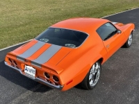 1973 Chevrolet Camaro for sale in Michigan (ID-123019)