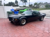 1973 Chevrolet Camaro for sale in Michigan (ID-123815)