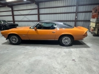 1973 Chevrolet Camaro for sale in Michigan (ID-137119)