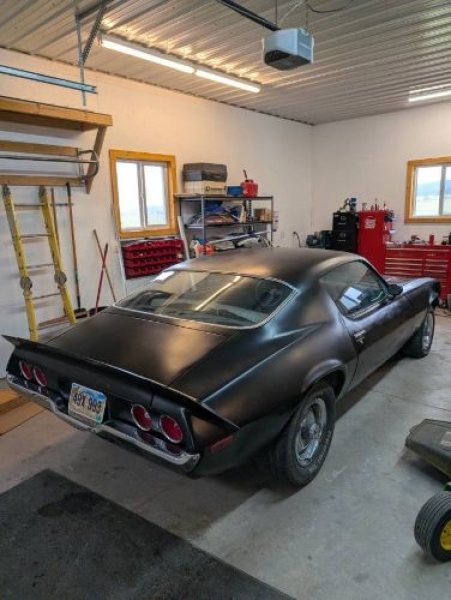 1973 Chevrolet Camaro for sale in Michigan (ID-142894)