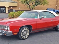 1973 Chevrolet Caprice for sale in Michigan (ID-126298)