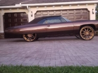 1973 Chevrolet Caprice for sale in Michigan (ID-128342)