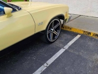 1973 Chevrolet Chevelle for sale in Michigan (ID-126608)