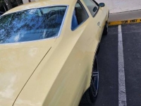 1973 Chevrolet Chevelle for sale in Michigan (ID-126608)