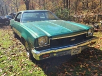 1973 Chevrolet Chevelle for sale in Michigan (ID-139137)