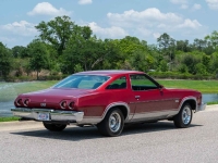 1973 Chevrolet Chevelle for sale (ID-141720)