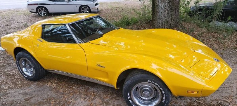 1973 Chevrolet Corvette for sale in Michigan (ID-118597) 1973 Chevrolet Corvette for sale in Michigan (ID-118597)