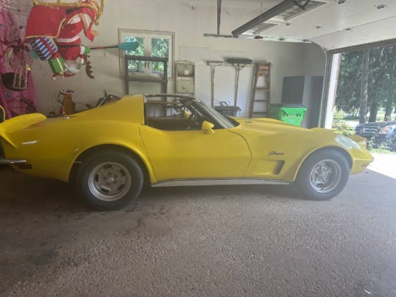 1973 Chevrolet Corvette for sale in Michigan (ID-121713)