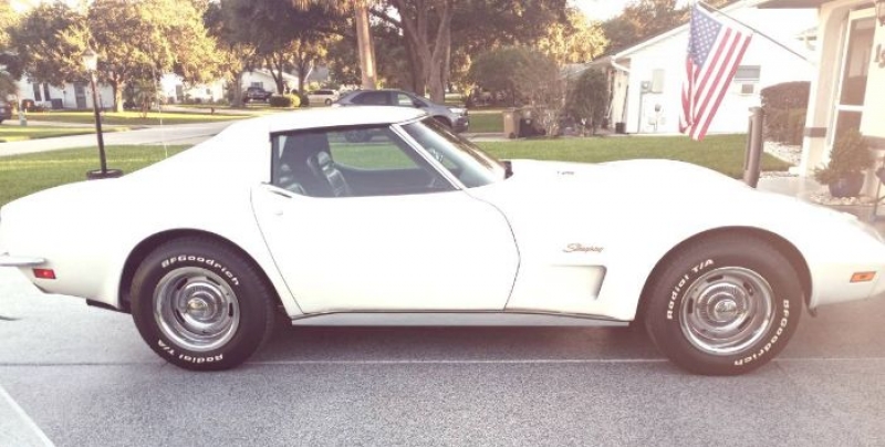 1973 Chevrolet Corvette for sale in Michigan (ID-122072)