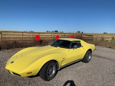 1973 Chevrolet Corvette for sale