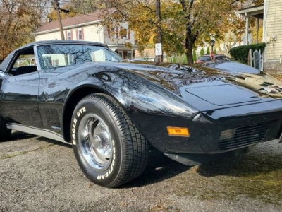1973 Chevrolet Corvette for sale
