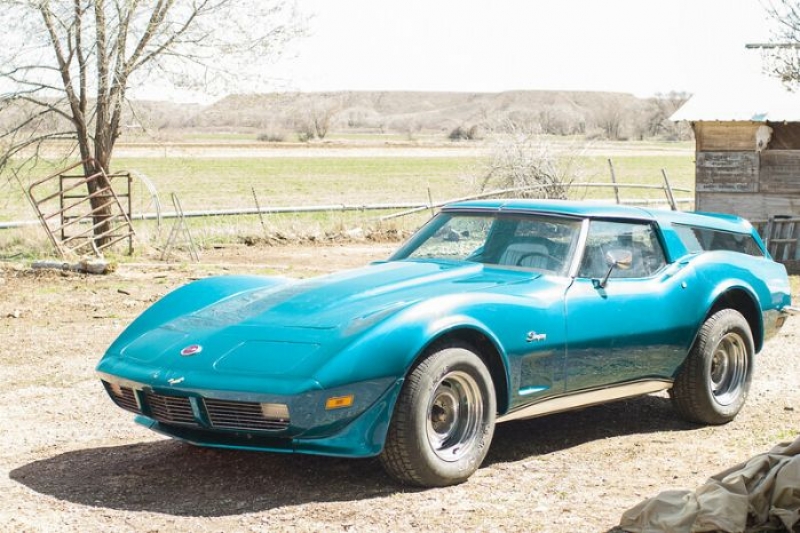 1973 Chevrolet Corvette for sale in Michigan (ID-125079) 1973 Chevrolet Corvette for sale in Michigan (ID-125079)