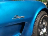 1973 Chevrolet Corvette for sale in Michigan (ID-125143)