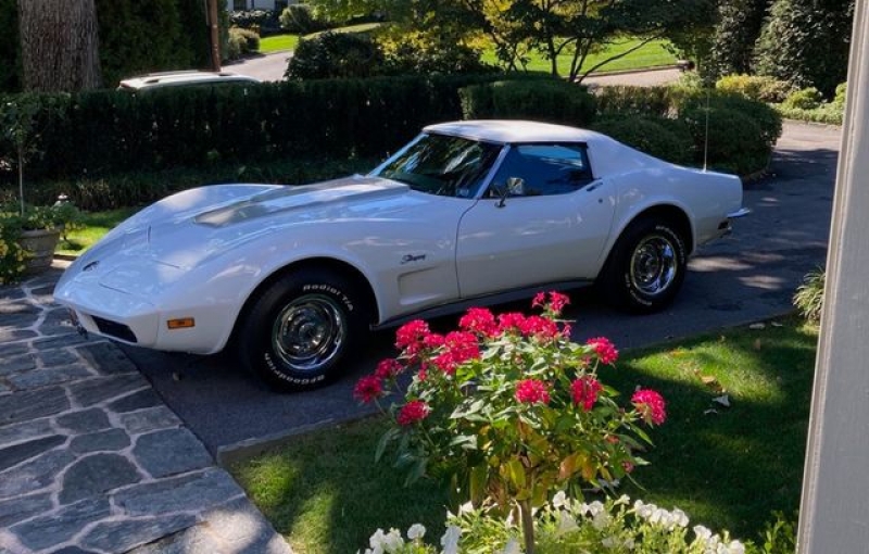 1973 Chevrolet Corvette for sale in Riverhead, New York (ID-126382)