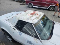 1973 Chevrolet Corvette for sale in Michigan (ID-130677)
