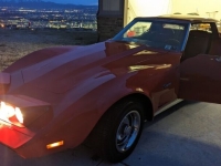 1973 Chevrolet Corvette for sale in Michigan (ID-137251)