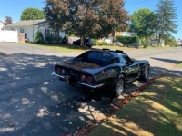 1973 Chevrolet Corvette for sale in Michigan (ID-164317)