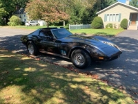 1973 Chevrolet Corvette for sale in Michigan (ID-164317)