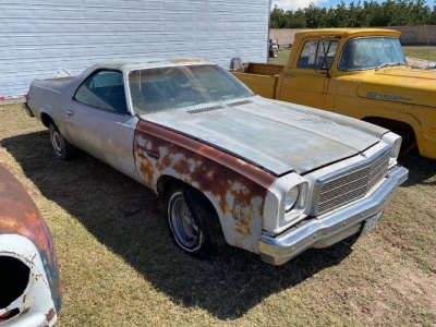 1973 Chevrolet El Camino for sale