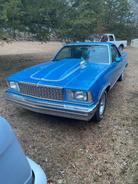 1973 Chevrolet El Camino for sale in Michigan (ID-161483)