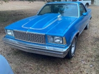 1973 Chevrolet El Camino for sale in Michigan (ID-161483)