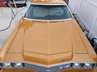 1973 Chevrolet Impala for sale in Michigan (ID-126261)