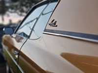1973 Chevrolet Impala for sale in Michigan (ID-126261)