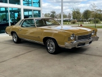 1973 Chevrolet Monte Carlo for sale in Riverhead, New York (ID-124582)