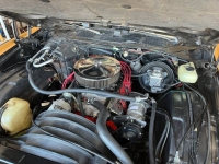 1973 Chevrolet Monte Carlo for sale in Michigan (ID-133575)