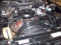 1973 Chevrolet Monte Carlo for sale in Michigan (ID-138135)