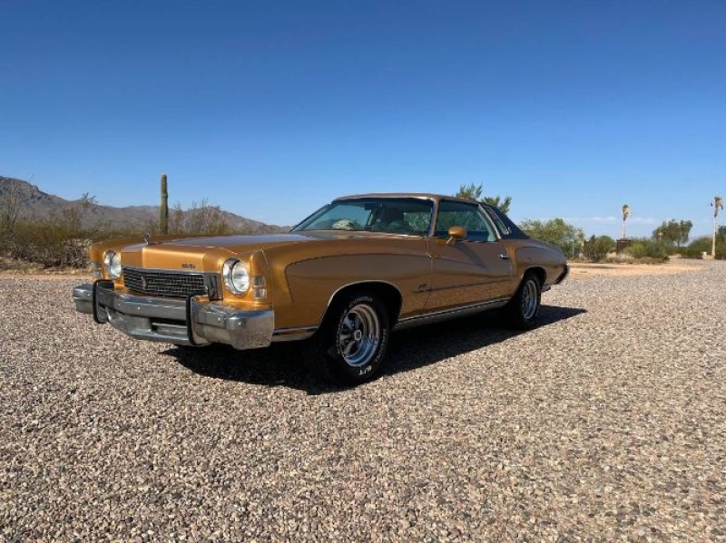 1973 Chevrolet Monte Carlo for sale in Michigan (ID-154962)
