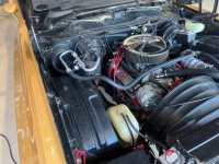 1973 Chevrolet Monte Carlo for sale in Michigan (ID-154962)