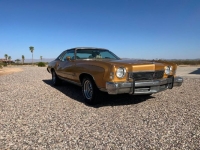 1973 Chevrolet Monte Carlo for sale in Michigan (ID-154962)