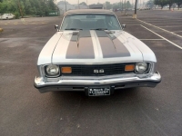 1973 Chevrolet Nova for sale in Riverhead, New York (ID-117275)