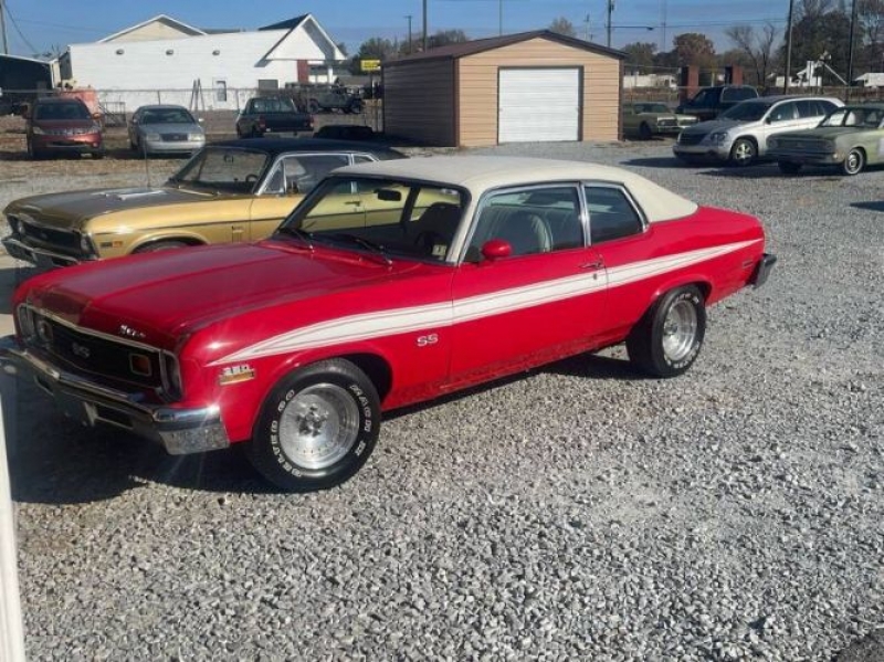 1973 Chevrolet Nova for sale in Michigan (ID-123548)