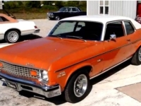 1973 Chevrolet Nova for sale in Michigan (ID-133309)