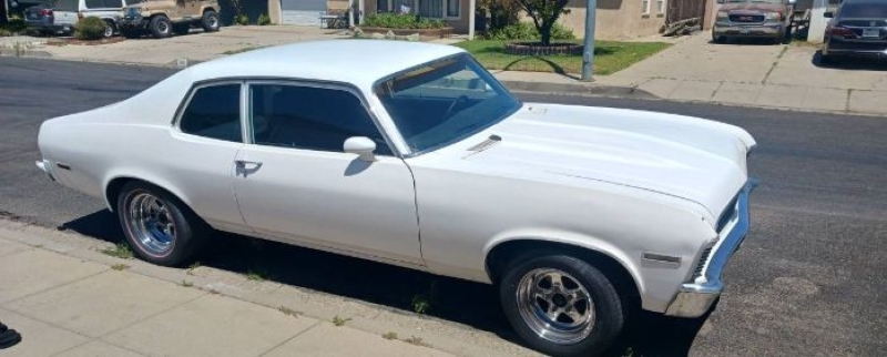 1973 Chevrolet Nova for sale in Michigan (ID-137148)