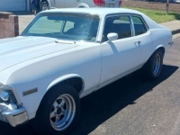 1973 Chevrolet Nova for sale in Michigan (ID-137148)