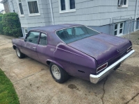 1973 Chevrolet Nova for sale in Michigan (ID-164574)