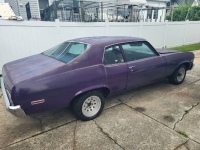 1973 Chevrolet Nova for sale in Michigan (ID-164574)