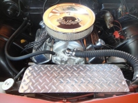 1973 Chevrolet Vega for sale in Michigan (ID-126356)