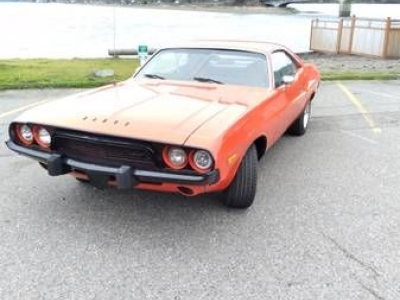 1973 Dodge Challenger for sale