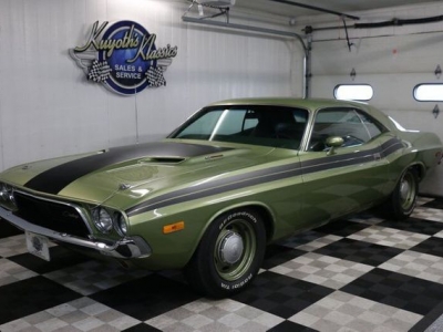 1973 Dodge Challenger for sale