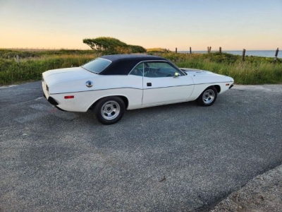 1973 Dodge Challenger for sale