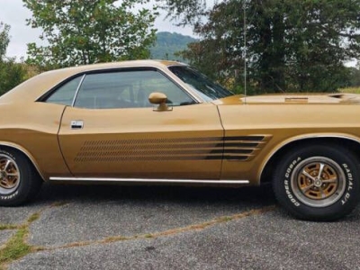 1973 Dodge Challenger for sale