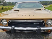1973 Dodge Challenger for sale (ID-138659)